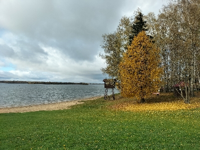 Золотой запас Земли