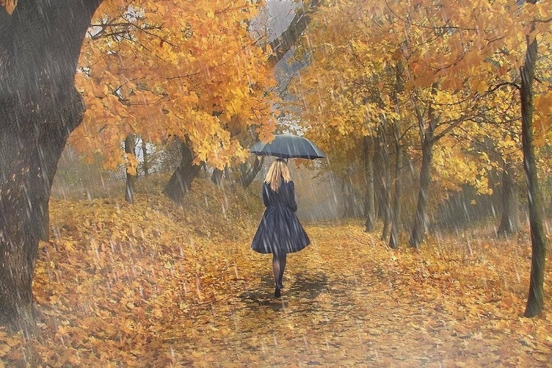 Нежное. Утро. Доброе