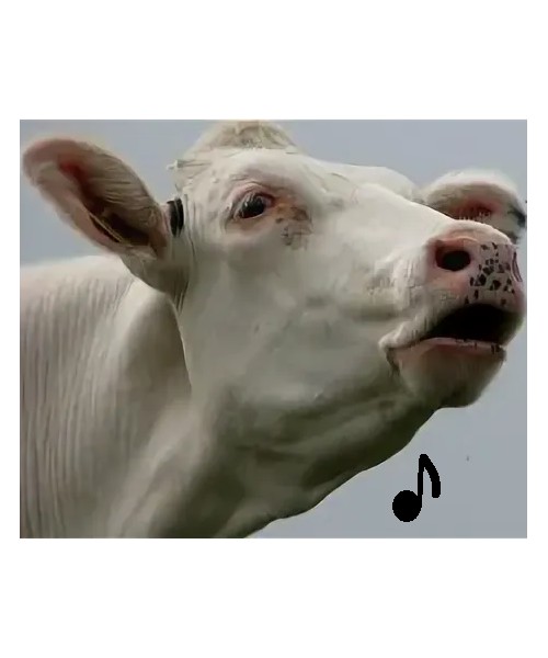 Шоу вокальное