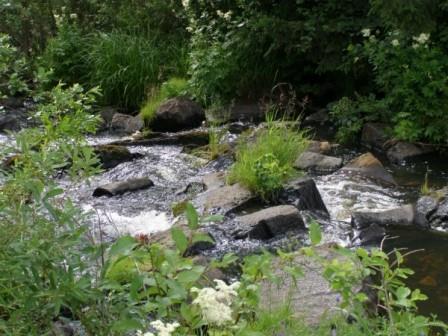 Во дни печалей и душевного сомнения