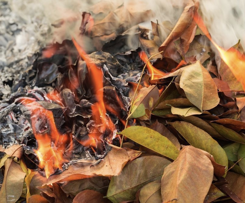 Дворники жгут листву