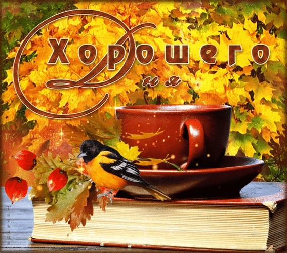 Друзьям с теплом! 144