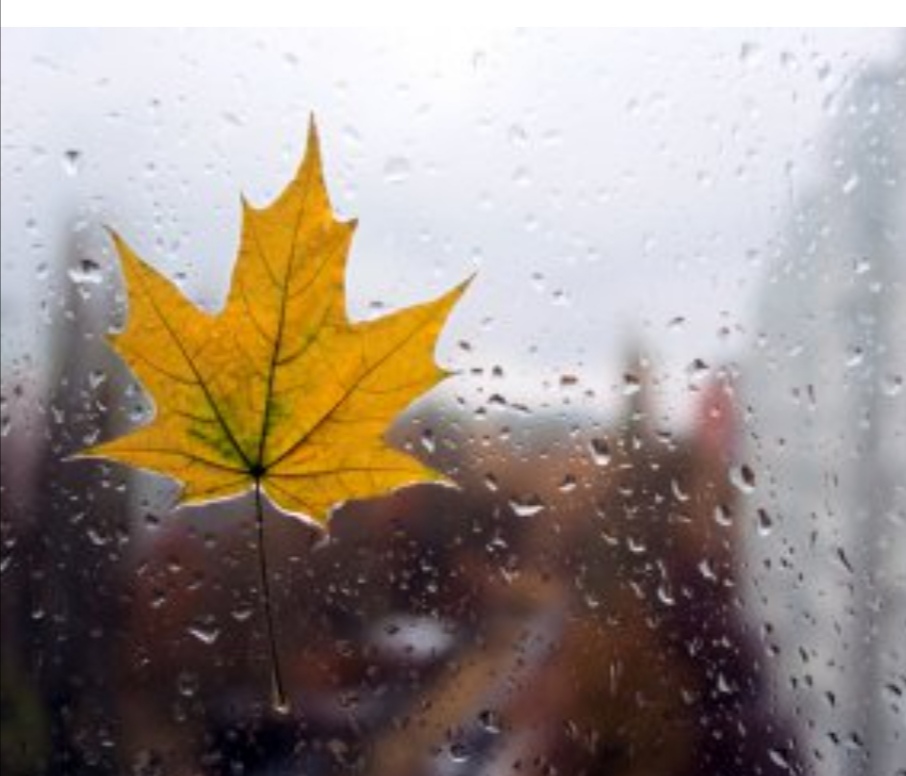 Поздняя осень