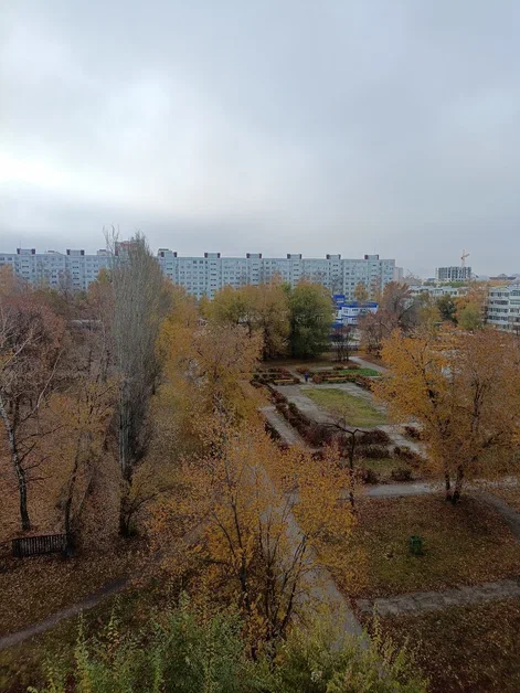 И всех моих крылатых