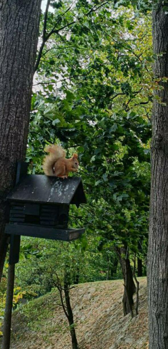 Где спрятано счастье?