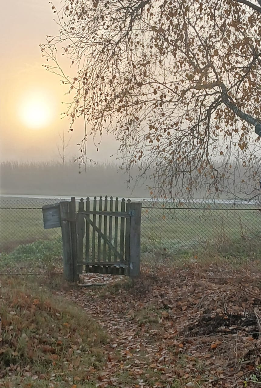 В деревне сердцу милый уголок