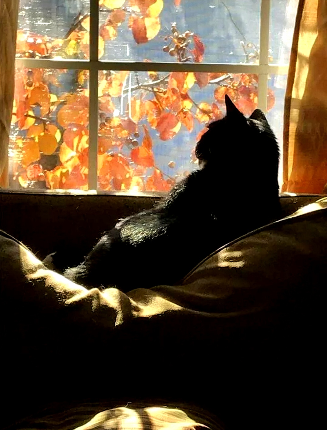 Голос Осени