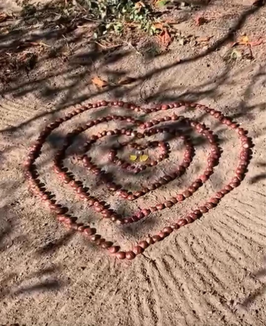 Geschenk vom Universum