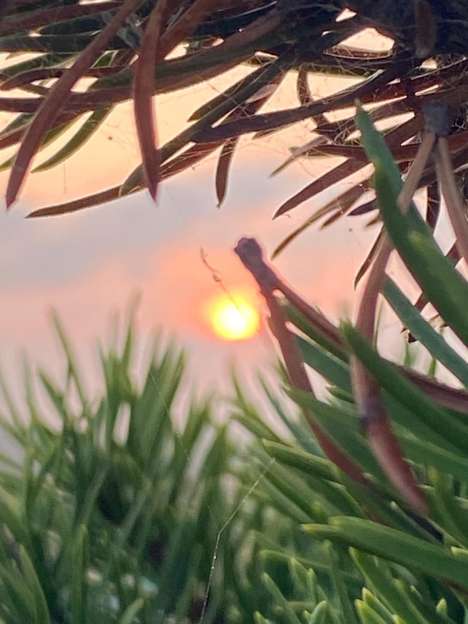 Душою душу обнимая