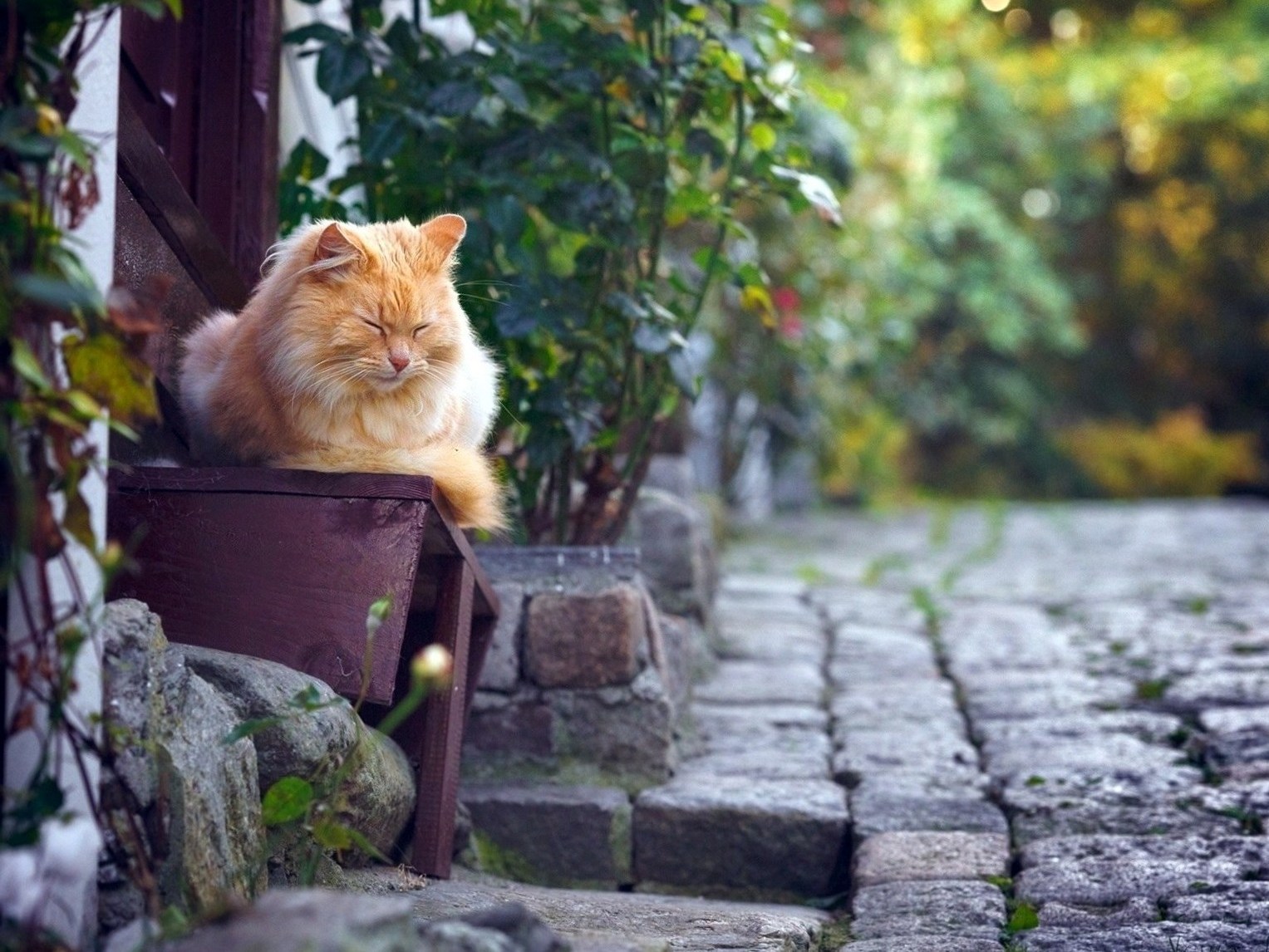 Зачем пишу? Зачем стараюсь?..