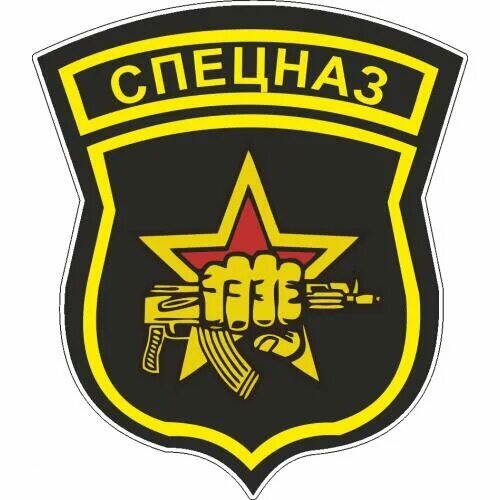 Штурмовик