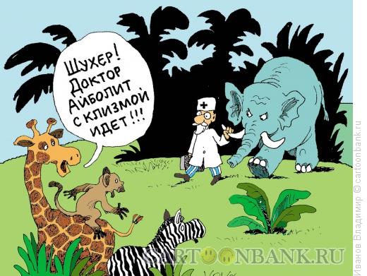 Обряд-отряд