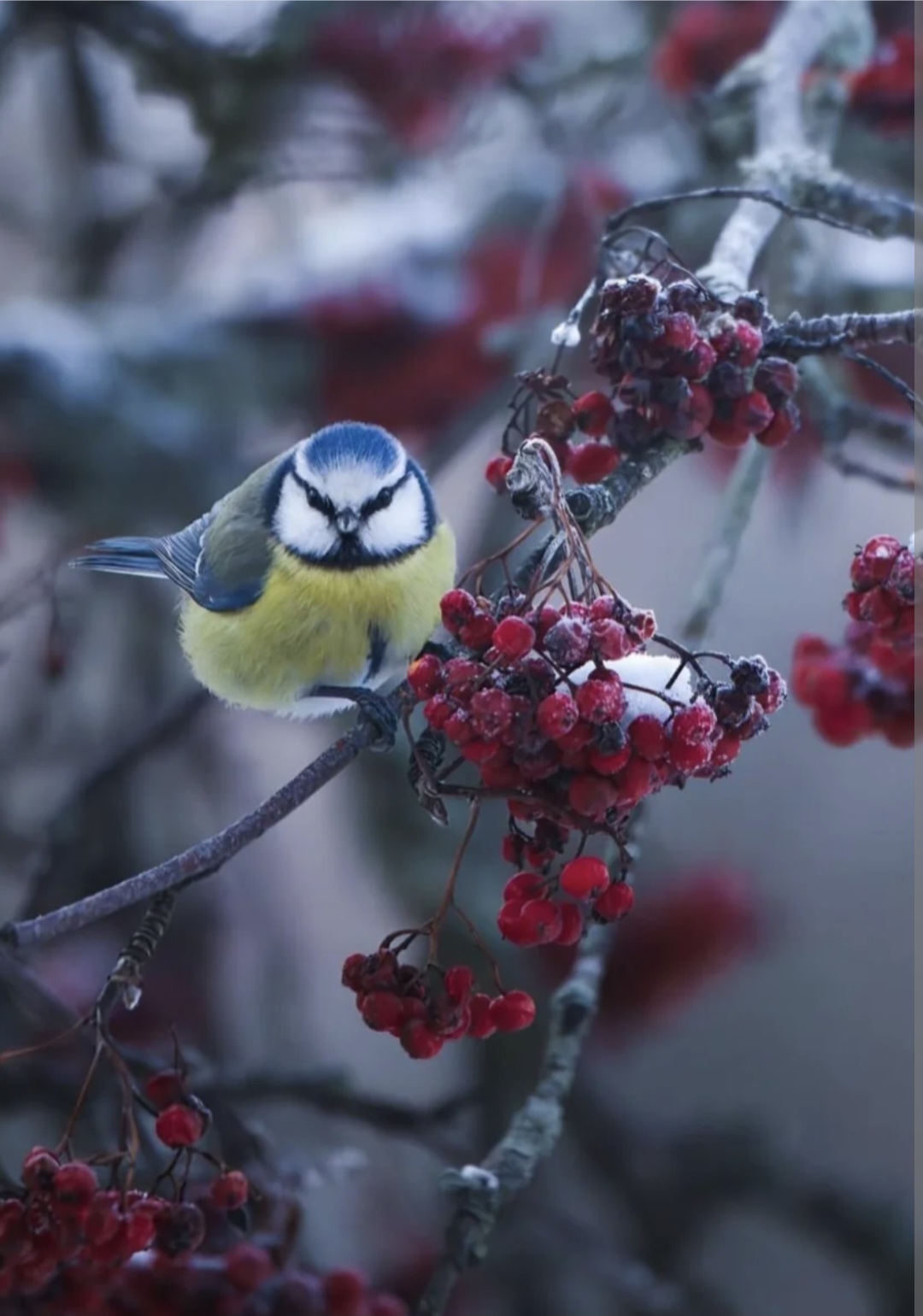 День новый 24 октября 2025г