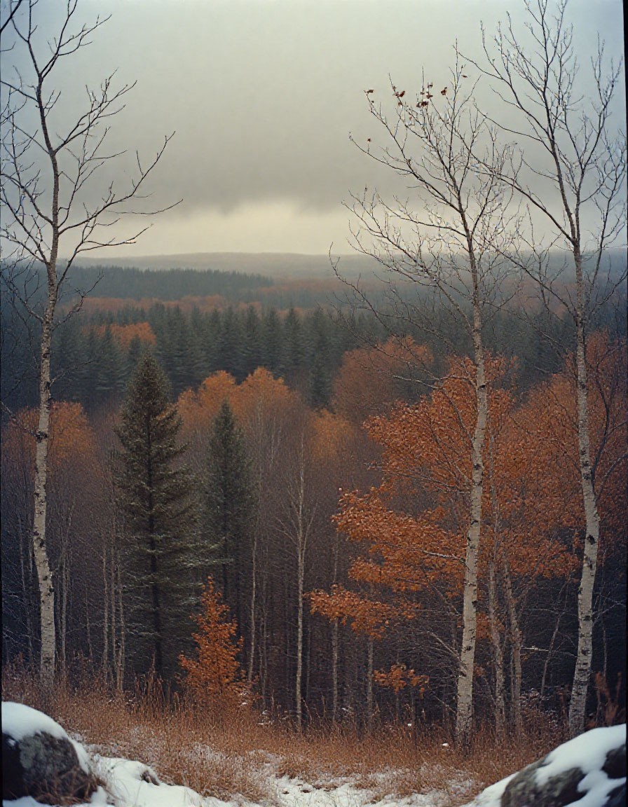 Осень предвестник
