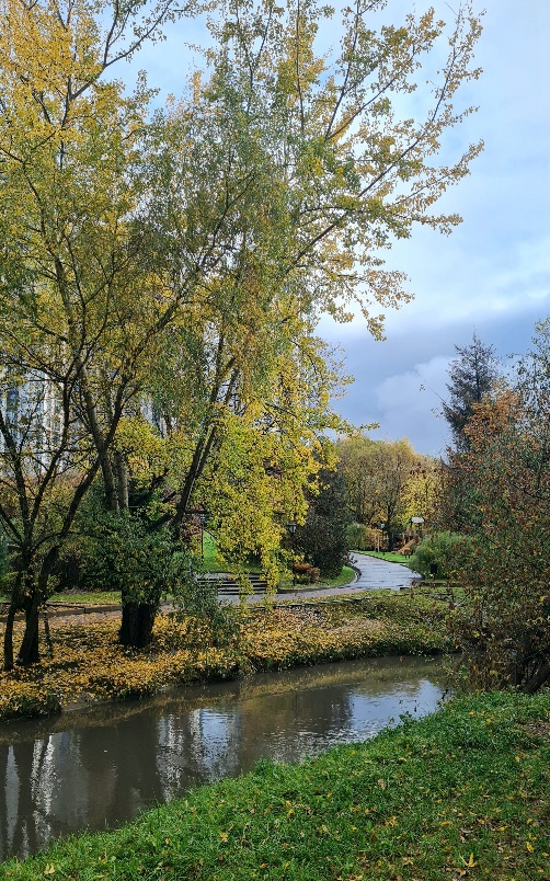 Осенний день. Я у реки...