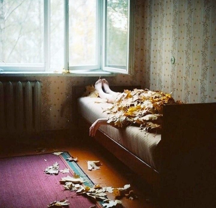 Листики, метёлочки...