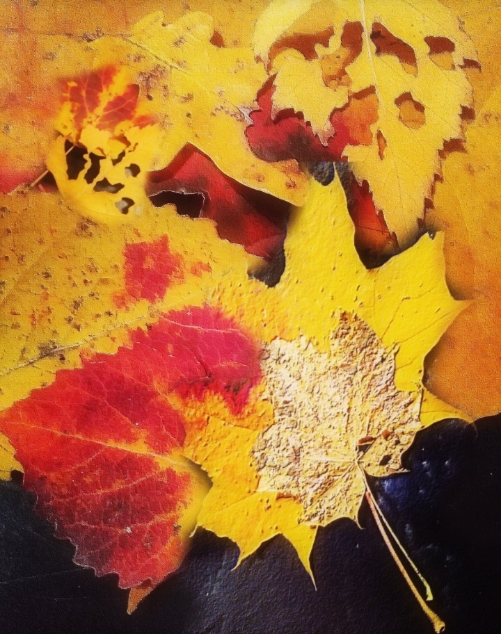 Живое сердце. Короткий рассказ