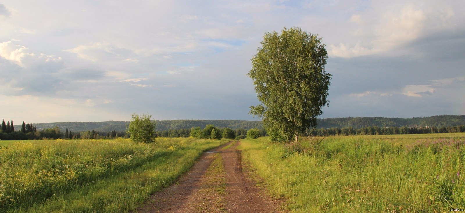 Если зовёт дорога...