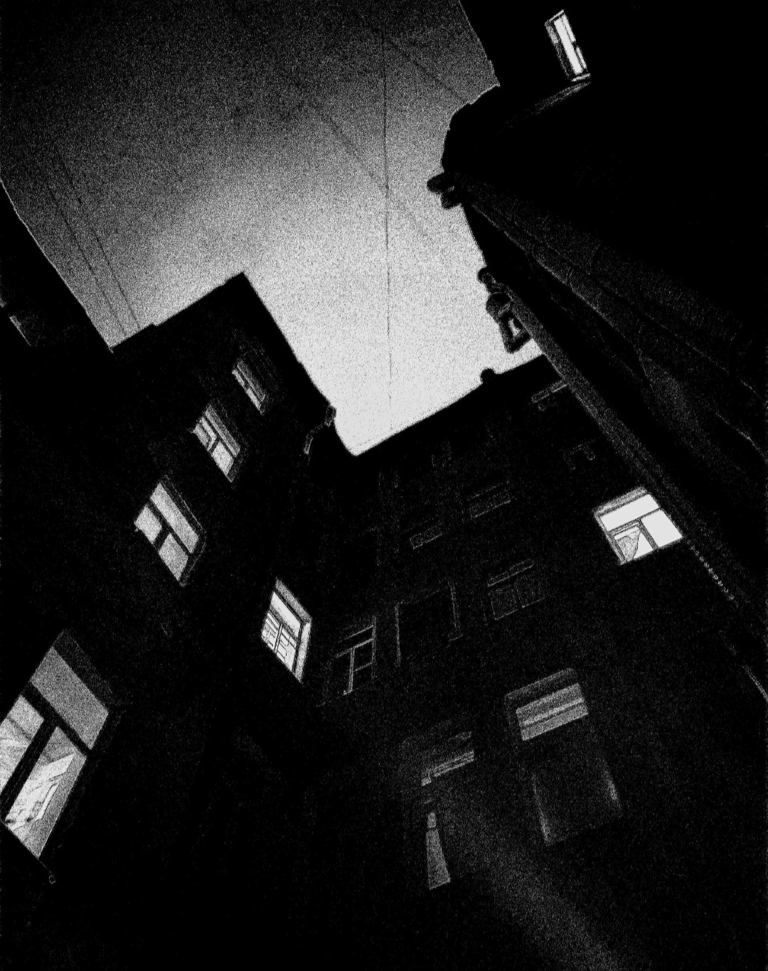 В городе белых ночей