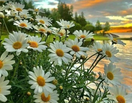 Цудоуны дзень