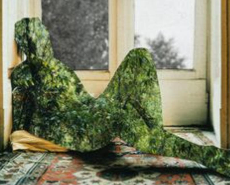 Подоспел, чудит дресс - код зелени