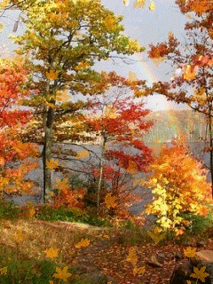 Мне нравятся стихи Натали Самоний