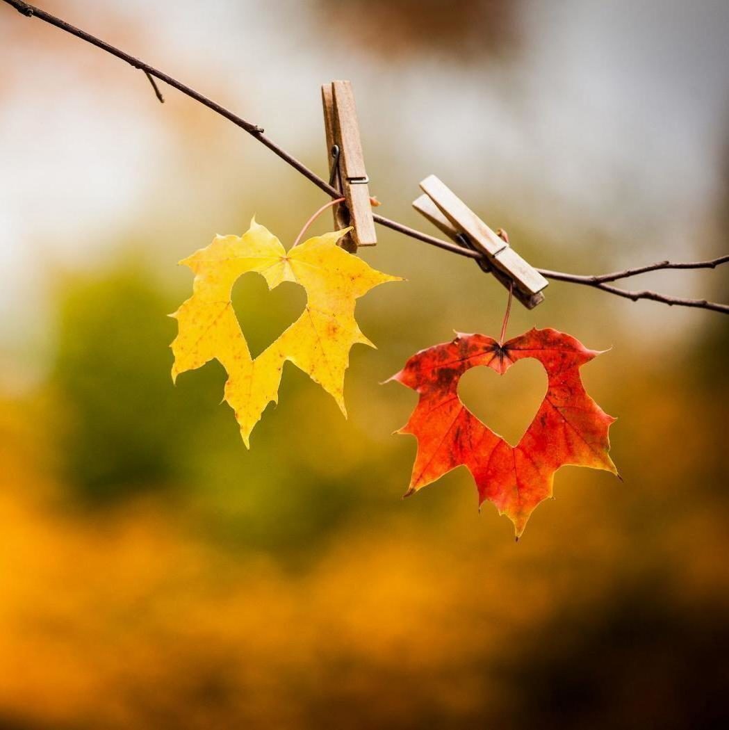 Наброски октября