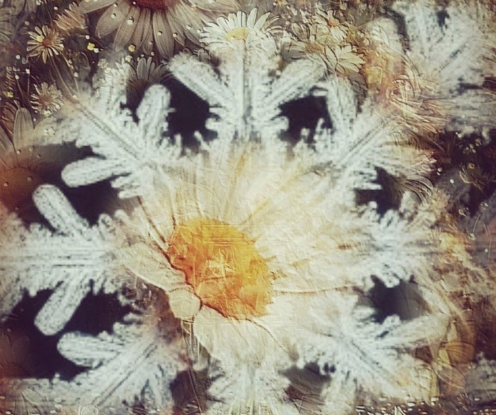 Кто подарил этот снег. Короткий рассказ