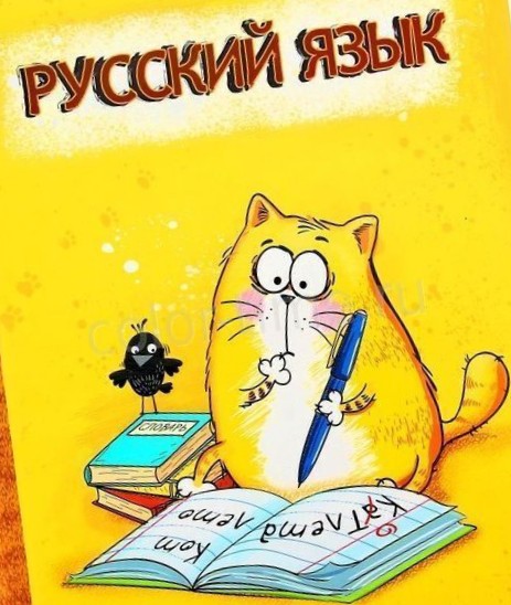 Наш родной язык в цене!