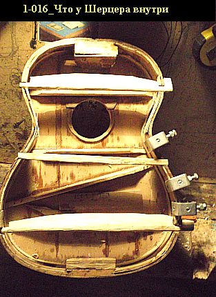 1-016 что у гитары шерцера внутри. что на этом рис