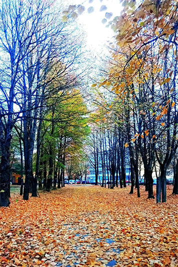 Осень золотом сверкает
