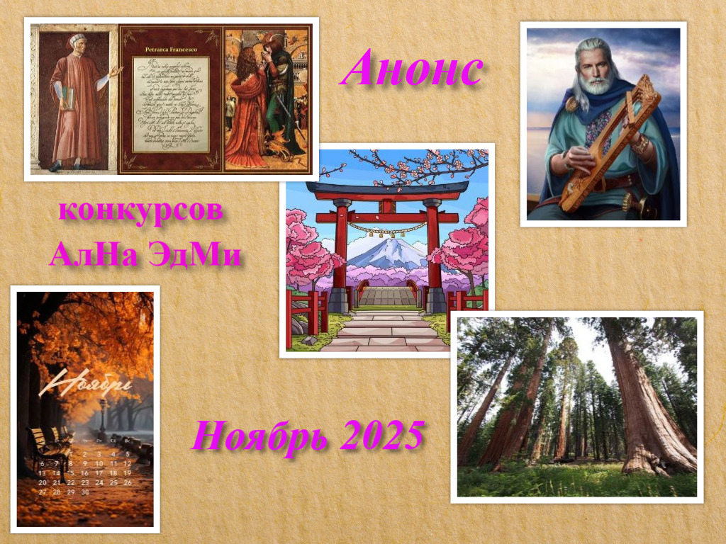 Анонс конкурсов Ална Эдми на ноябрь 2025