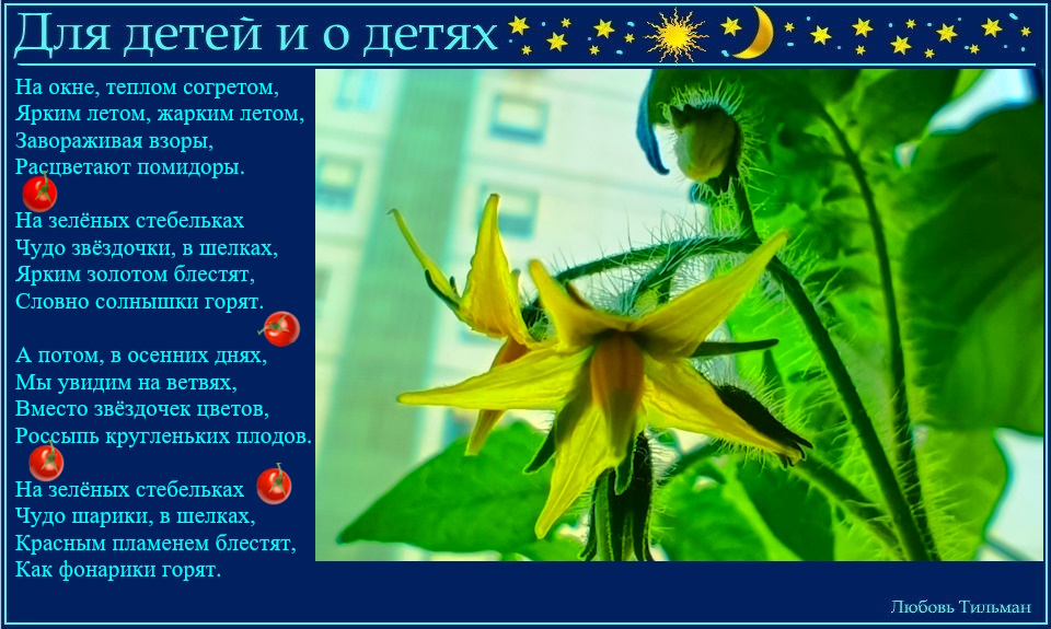 На окне, теплом согретом