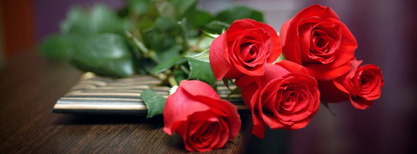 Итоги. Конкурс Пародий Бонуфикс 18-25