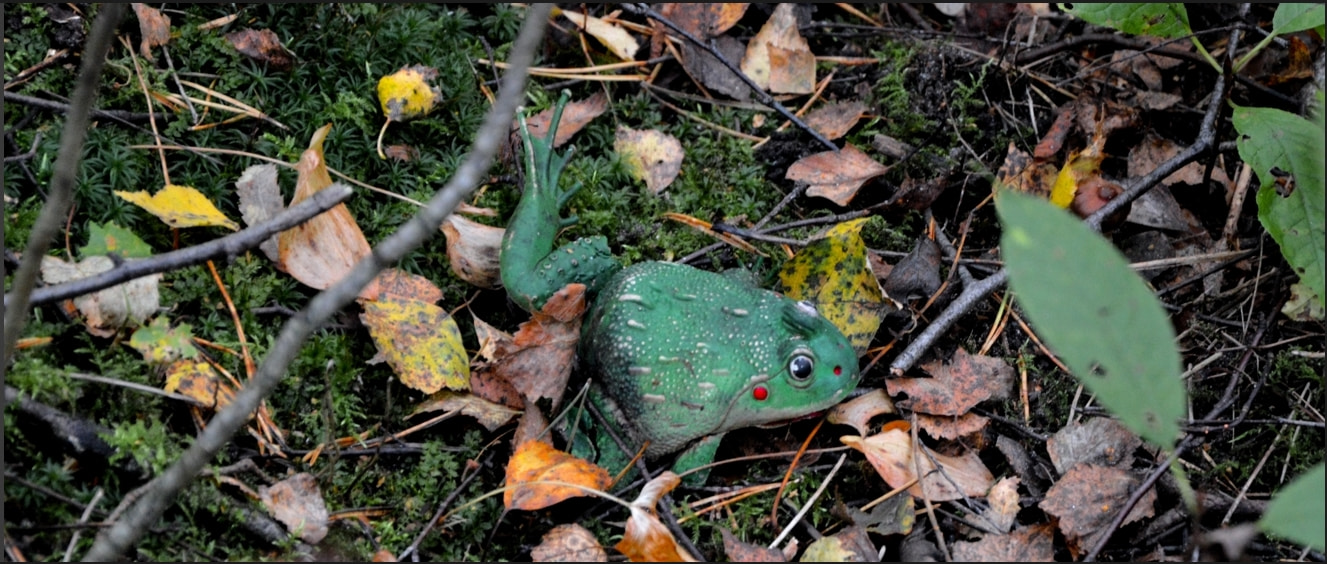 Самодостаточность искусства