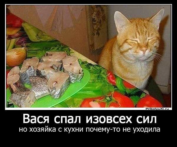 Дяди-Воеваки