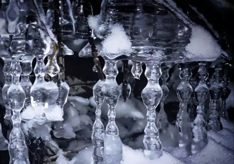 Здравствуйте, белые лебеди!