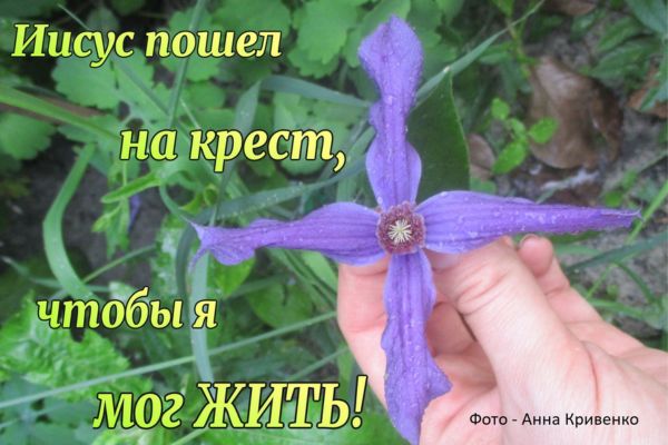 Что же это значит - Бога возлюбить?