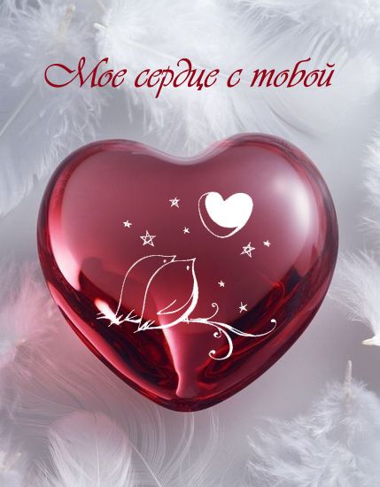 Моё сердце