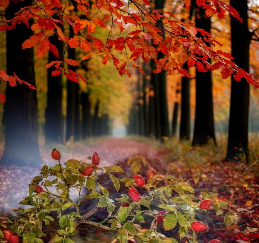 Не торопись до тризны