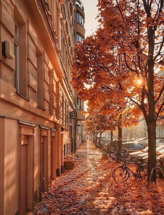 Осенний цветопад