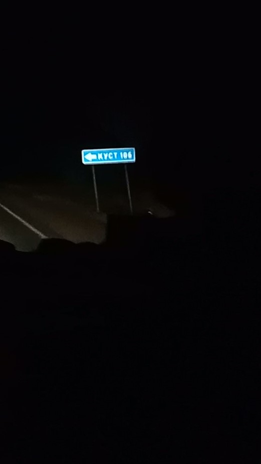 Кусты на трассе