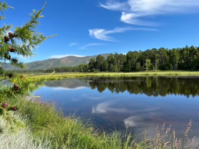 Облака, летящие как птицы