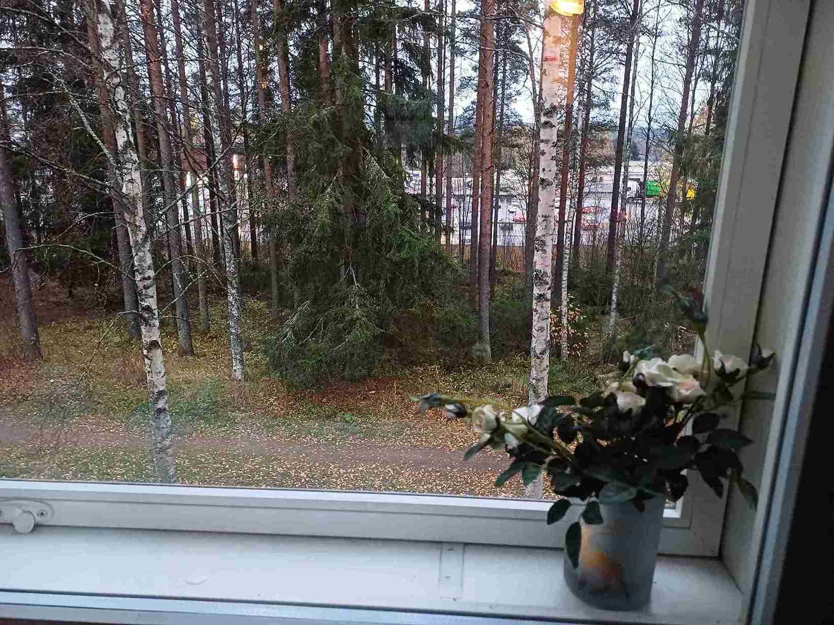 Вид из окна