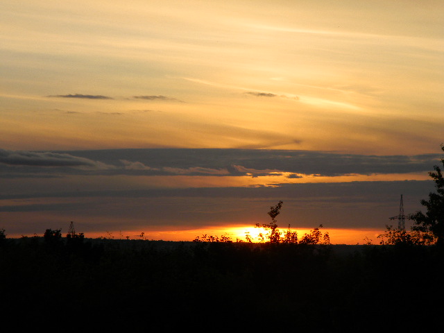 Ты его впустила...