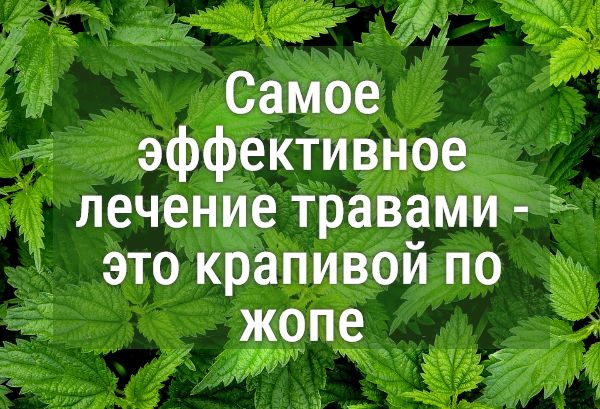 Хоть стреляй не клеится у Фёклы...