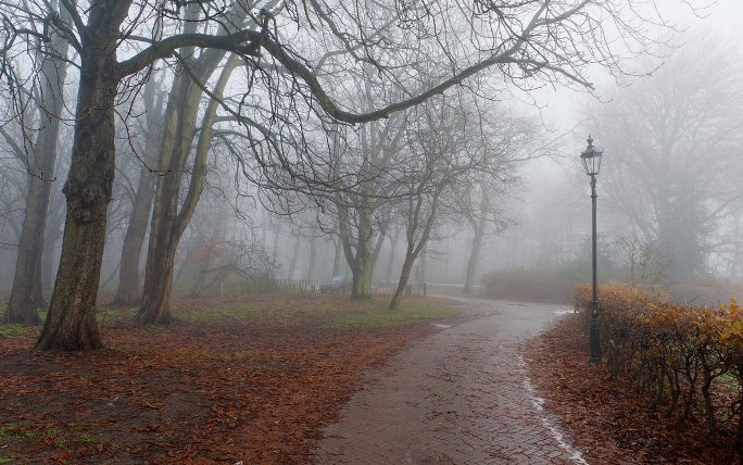 всё смешалось