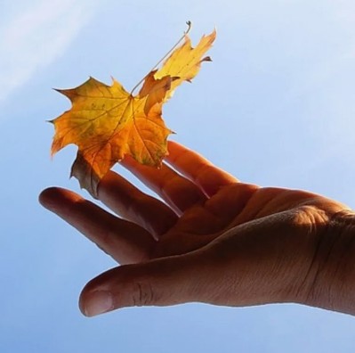 Под сердце земли