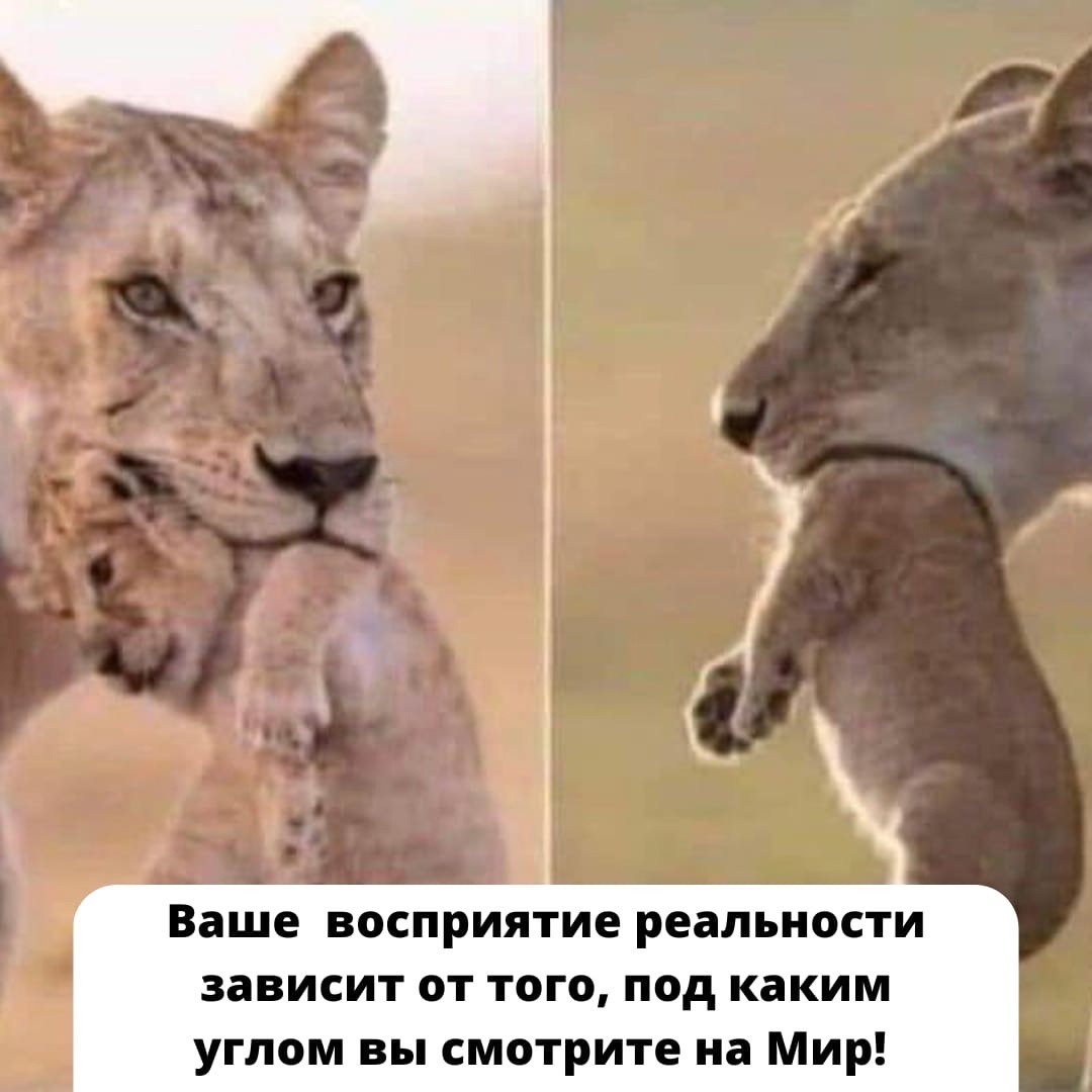 Угол зрения