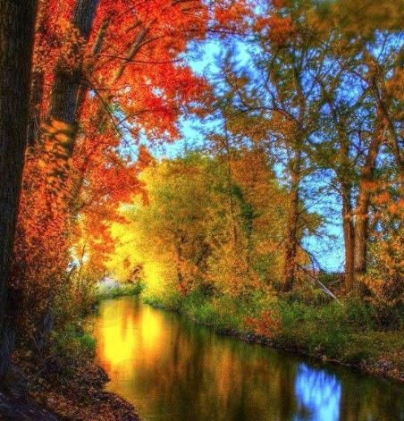 и вечная весна